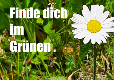 Foto des Albums: Artenvielfalt auf unserem Schulgelände: Ein Projekt der 10a und der 10b