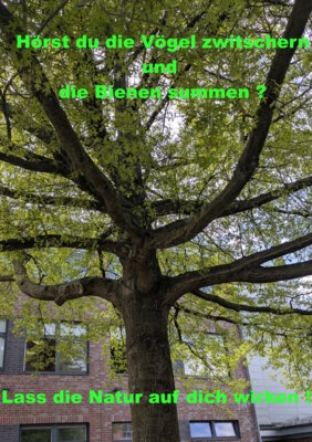 Foto des Albums: Artenvielfalt auf unserem Schulgelände: Ein Projekt der 10a und der 10b