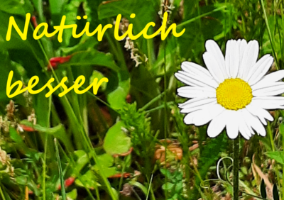 Foto des Albums: Artenvielfalt auf unserem Schulgelände: Ein Projekt der 10a und der 10b