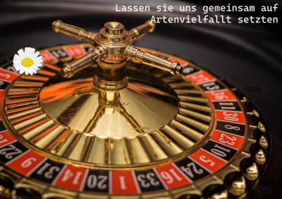 Foto des Albums: Artenvielfalt auf unserem Schulgelände: Ein Projekt der 10a und der 10b