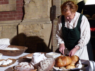 Foto des Albums: Historisches Hansefest 2024
