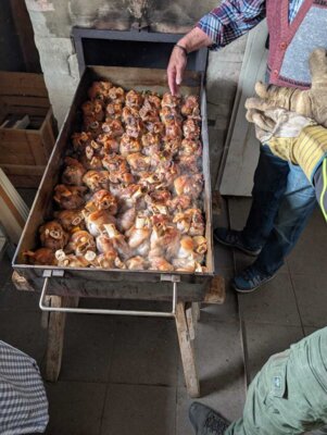 Foto des Albums: Vatertagfischen 2025
