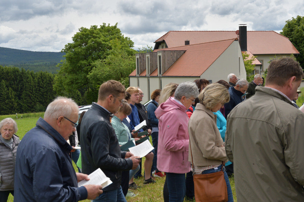 Bild der Galerie