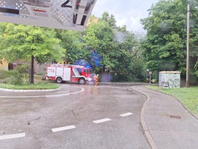 Foto des Albums: 20250531_Unwetter