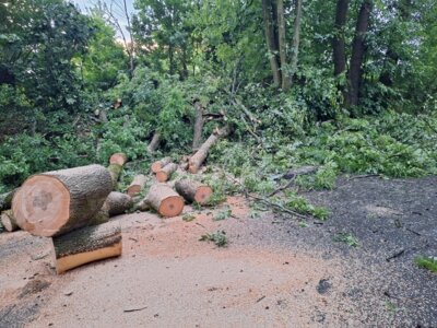 Foto des Albums: 20250531_Unwetter
