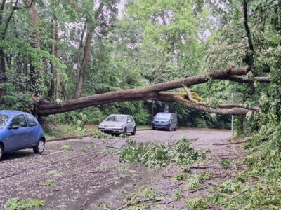 Foto des Albums: 20250531_Unwetter