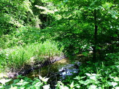 Wietzegraben  (Bild vergr&ouml;&szlig;ern)