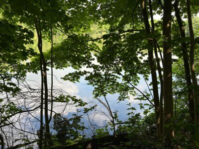 Entlang am Blauen Seee  (Bild vergr&ouml;&szlig;ern)