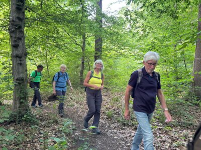 Herrlicher Wanderweg  (Bild vergr&ouml;&szlig;ern)