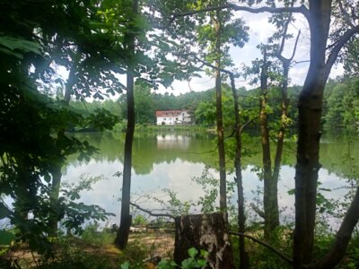 Blauer See  (Bild vergr&ouml;&szlig;ern)