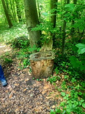 &Ouml;ffentliche Toileltte?  (Bild vergr&ouml;&szlig;ern)