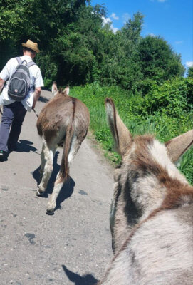 Foto des Albums: Eselwanderung