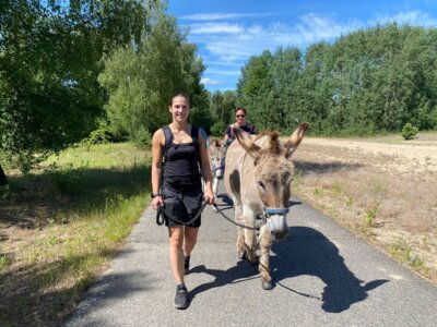Foto des Albums: Eselwanderung