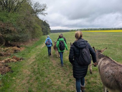 Foto des Albums: Eselwanderung