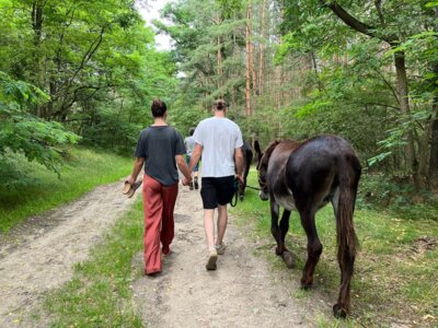 Foto des Albums: Eselwanderung