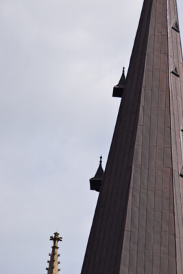 Foto des Albums: Stadtführung Juni 2025