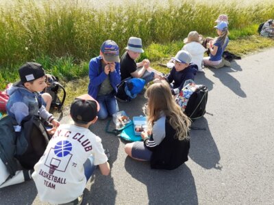 Fotoalbum Park Canitz Projekt Wiese Klasse 2a