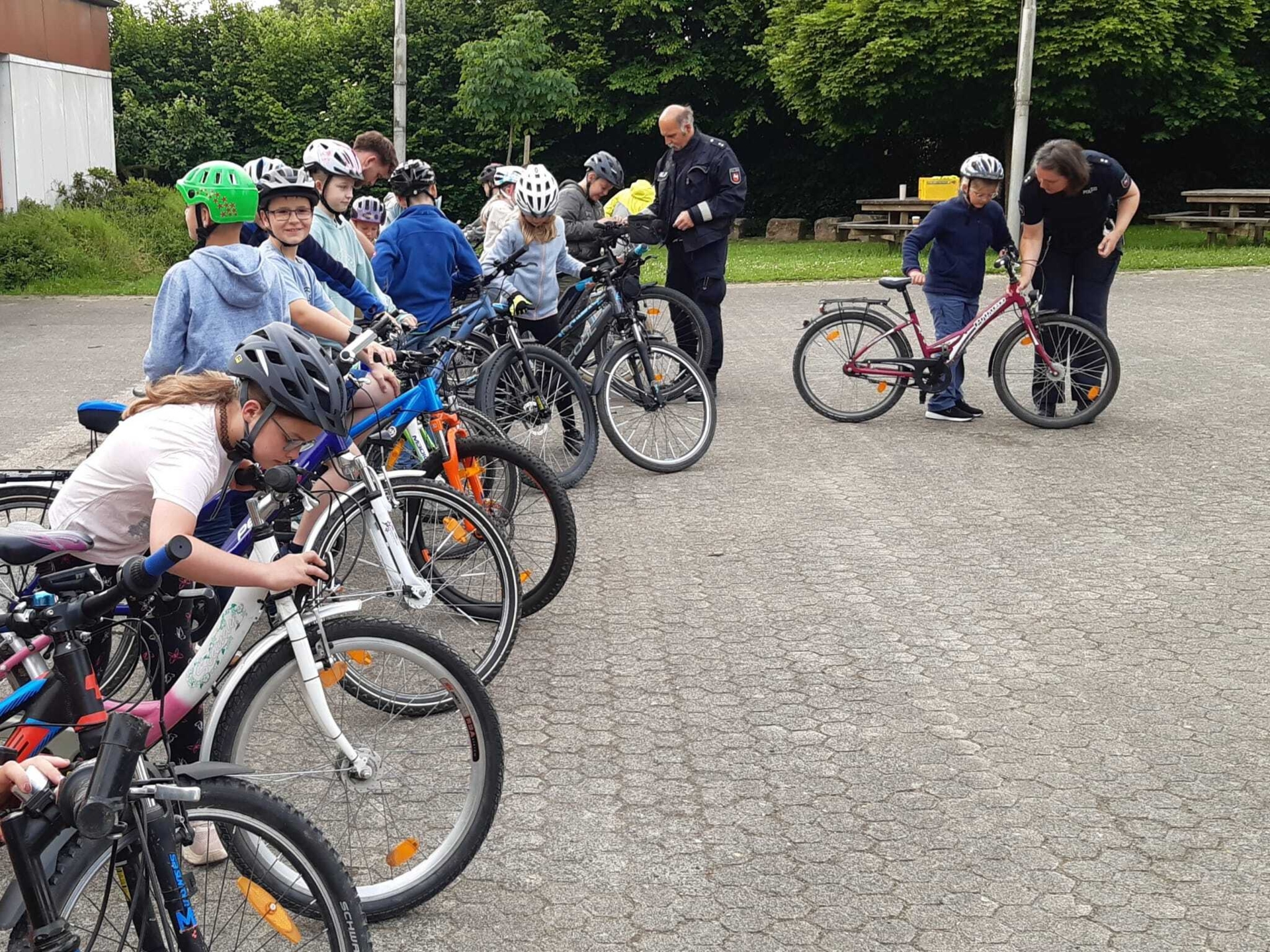 Bild der Galerie
