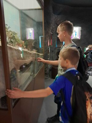 Foto des Albums: Kindertagsausfahrt Saalfelder Feengrotten