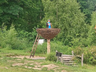 Foto des Albums: Kindertagsausfahrt Saalfelder Feengrotten