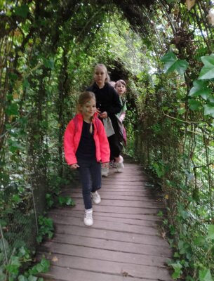 Foto des Albums: Kindertagsausfahrt Saalfelder Feengrotten