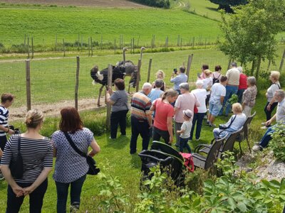 Foto des Albums: Ausflug der Senioren zum Straußenhof