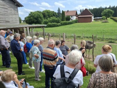 Foto des Albums: Ausflug der Senioren zum Straußenhof
