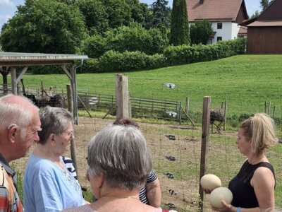 Foto des Albums: Ausflug der Senioren zum Straußenhof