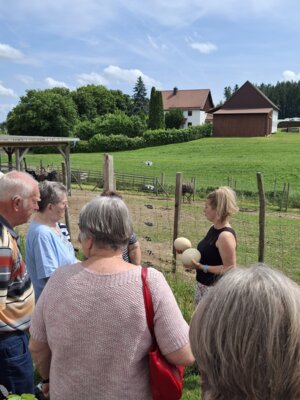 Foto des Albums: Ausflug der Senioren zum Straußenhof