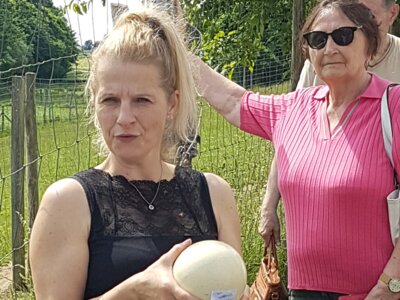 Foto des Albums: Ausflug der Senioren zum Straußenhof