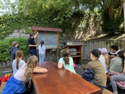 Foto des Albums: Naturparkmodul Wiese
