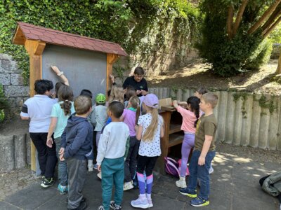 Foto des Albums: Naturparkmodul Wiese