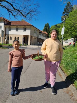 Foto des Albums: Klasse 3 im Kräuterfieber