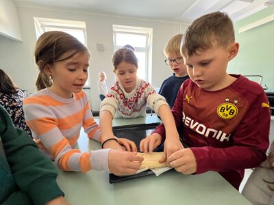 Foto des Albums: Klasse 3 im Kräuterfieber