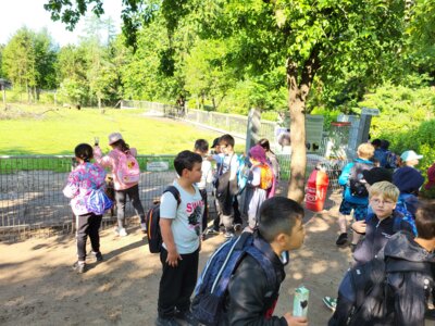 Foto des Albums: Ostrittrum Kl 1b 2025