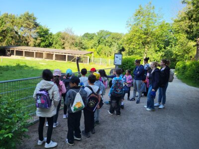 Foto des Albums: Ostrittrum Kl 1b 2025