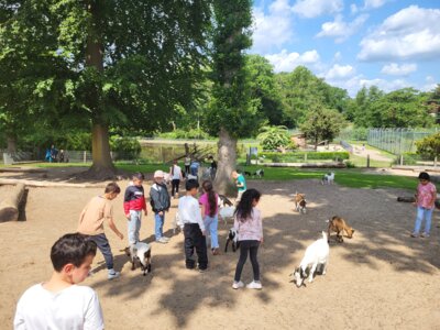 Foto des Albums: Ostrittrum Kl 1b 2025