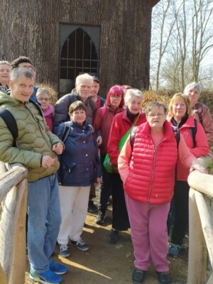 Foto des Albums: Senfkörner_2025_05