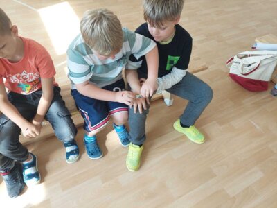 Foto des Albums: Erste Hilfe Kurs Klasse 2