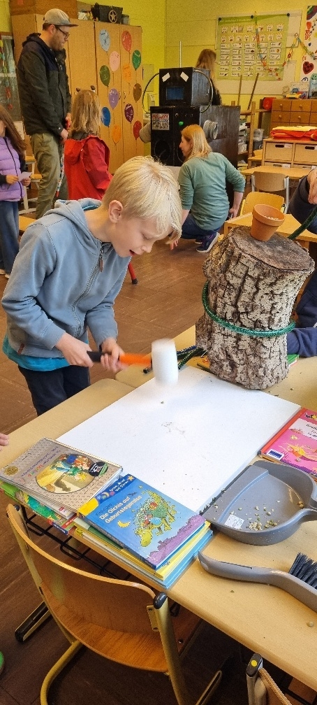 Bild der Galerie