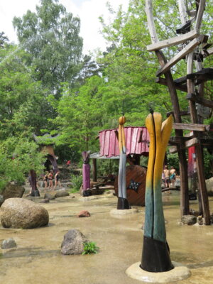Foto des Albums: Im 