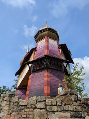 Foto des Albums: Im 
