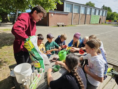 Foto des Albums: Umweltprojekt 