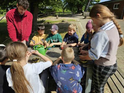 Foto des Albums: Umweltprojekt 