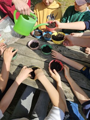 Foto des Albums: Umweltprojekt 