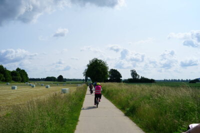 Auf der Evestorfer Stra&szlig;e  (Bild vergr&ouml;&szlig;ern)