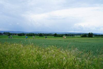 Ditterke - Blick zum Deister - da kommt was  (Bild vergr&ouml;&szlig;ern)