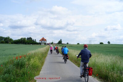 Vorie fest im Blick  (Bild vergr&ouml;&szlig;ern)