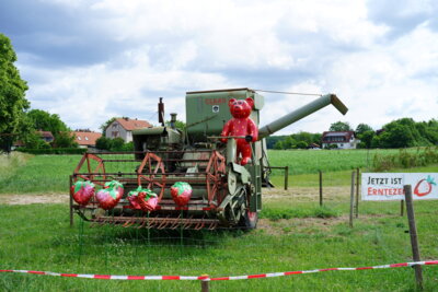 Werbung f&uuml;r Erdbeeren - stark aufgefahren  (Bild vergr&ouml;&szlig;ern)