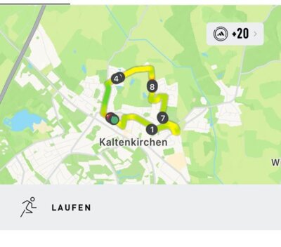 Foto des Albums: Stadtlauf 2025